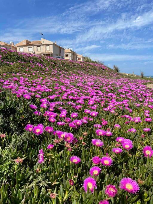 Ferienwohnung Miramar V Torrevieja Exterior foto
