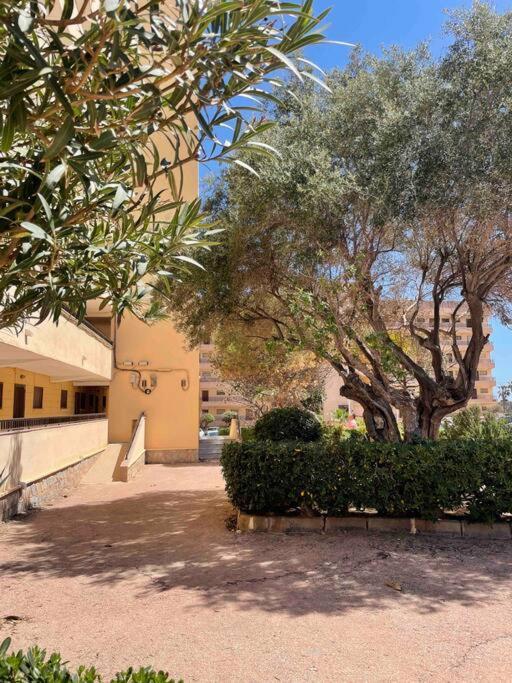 Ferienwohnung Miramar V Torrevieja Exterior foto